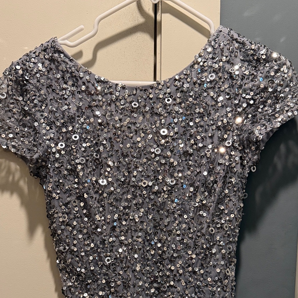Adrianna Papell Silver Sequin Dress